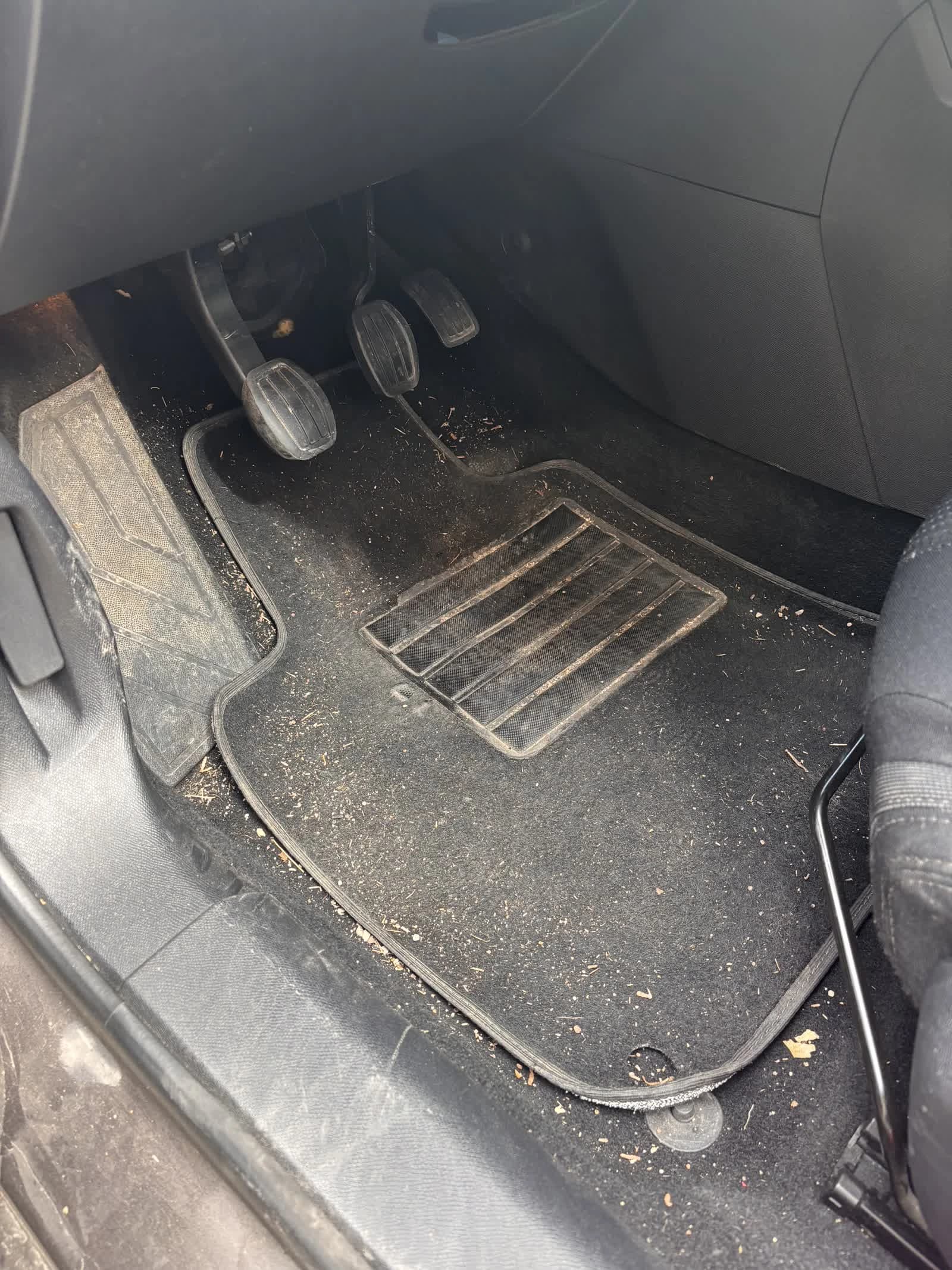 Sol conducteur — avant